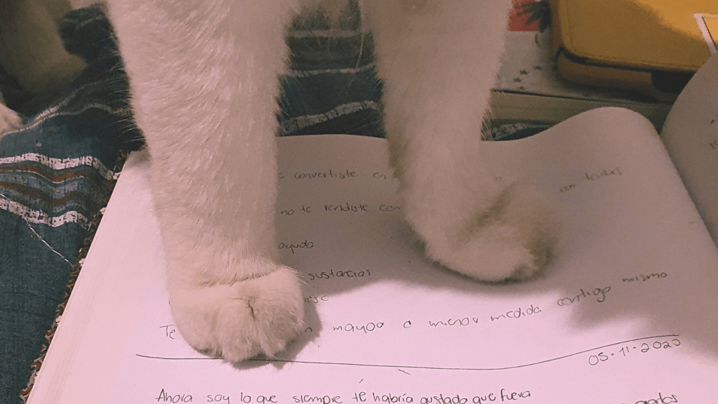 Gente de perros, gente de&nbsp;gatos