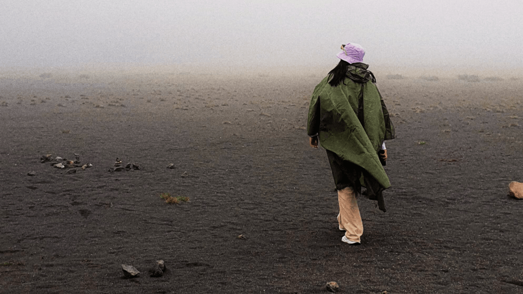 Bitácora de un corazón&nbsp;arado