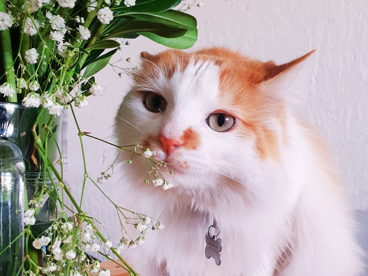 Las ventajas de tener un crush con el que nunca pasará&nbsp;nada